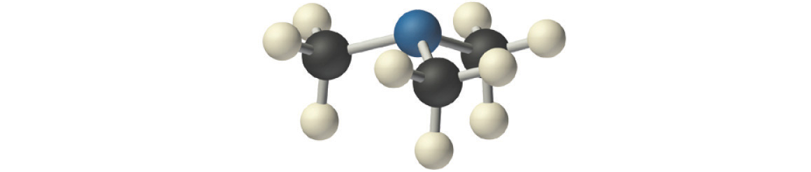 Equivariance and Invariance in GNNs