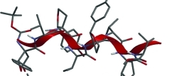 Peptide Embedding for Unsupervised clustering